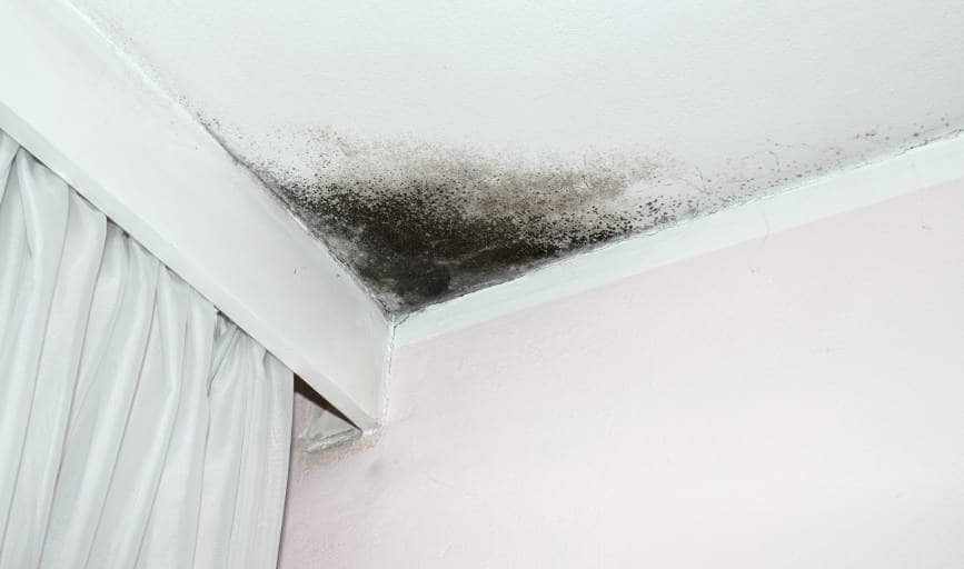 Carolina Foundation & Insulation